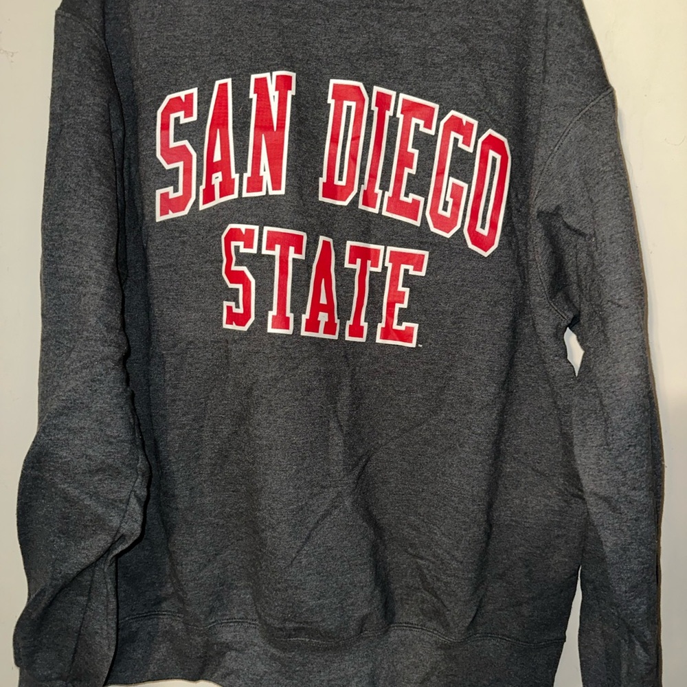 Champion Gray and Red Crewneck Sweater